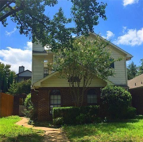 a view of a backyard with plants and a large tree