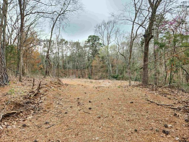 $100,000 | 19299-19321 Cr 4125 Lindale Tx 75771