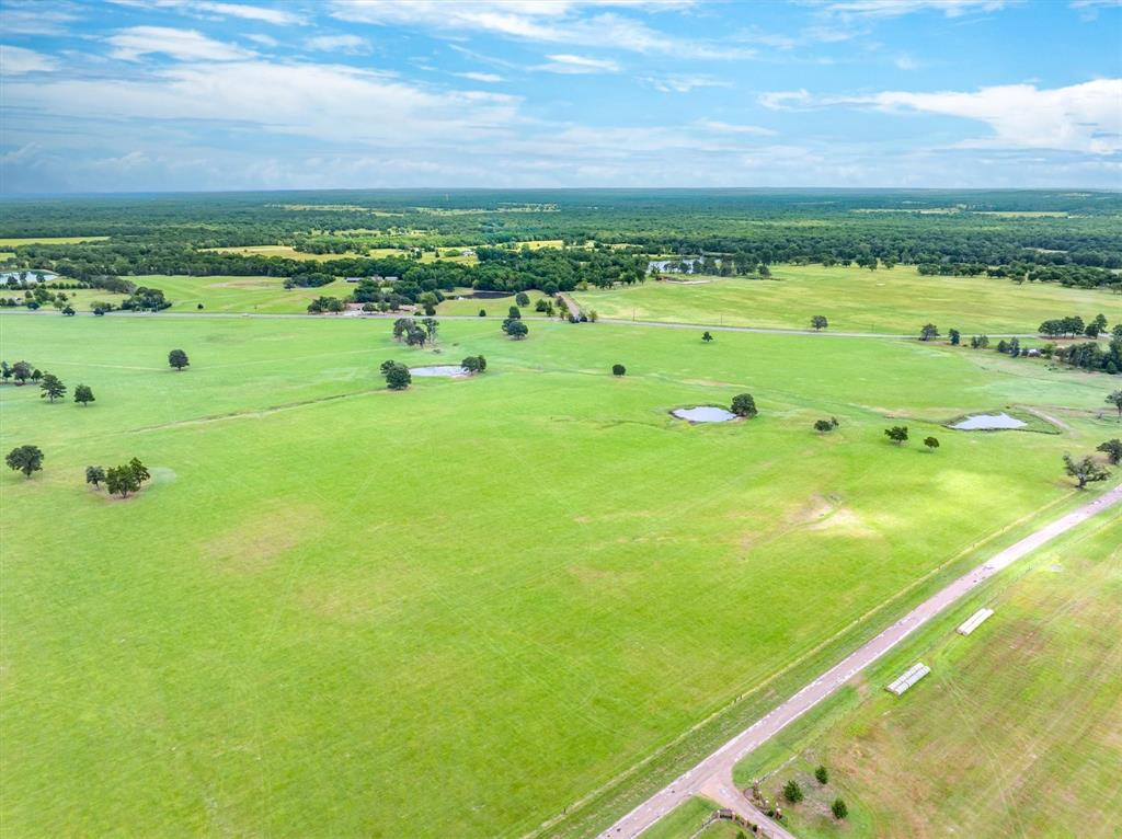 a view of a field with an ocean