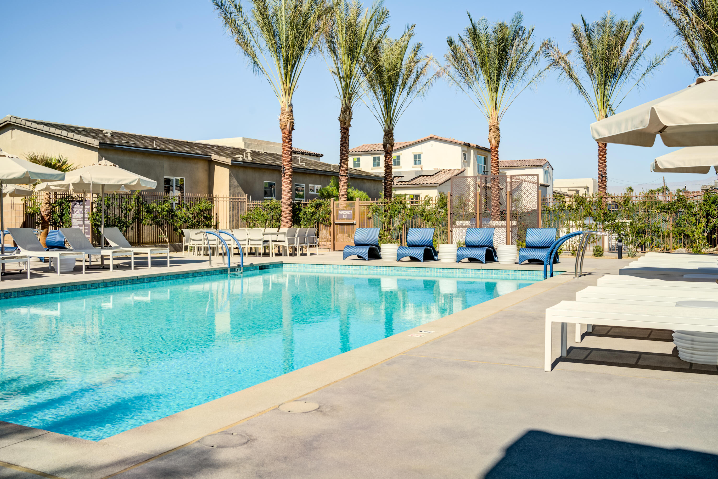 a view of a swimming pool with a lawn chairs under palm trees