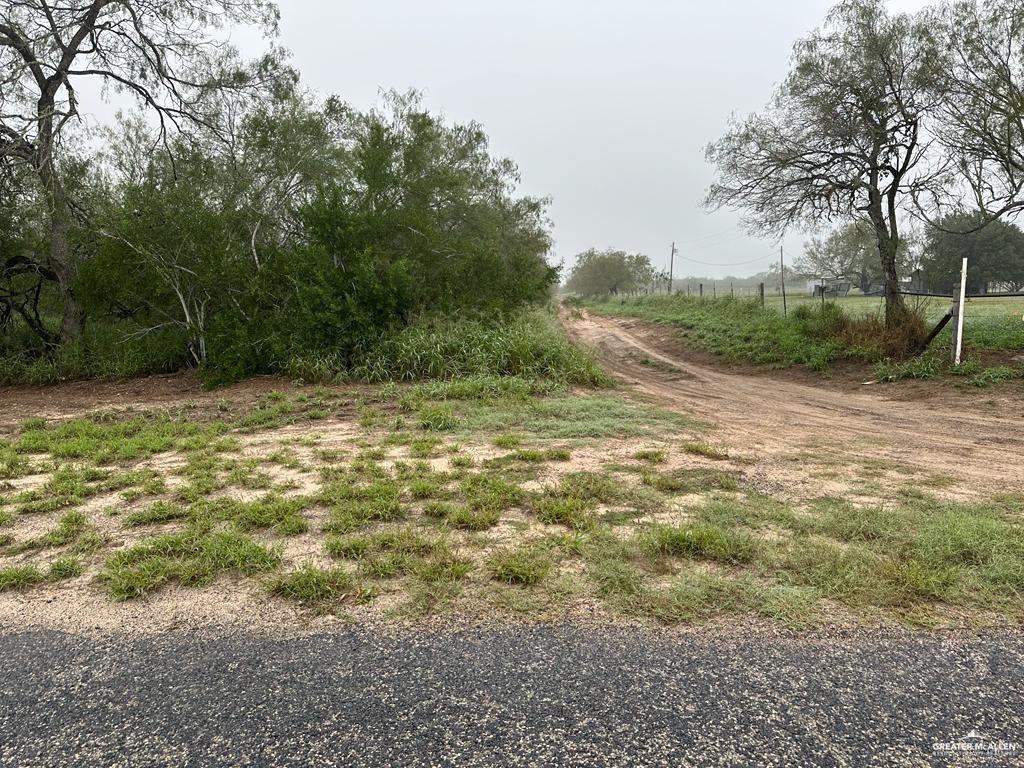 a view of a yard with trees