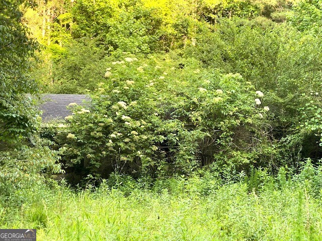 a view of a garden from a tree