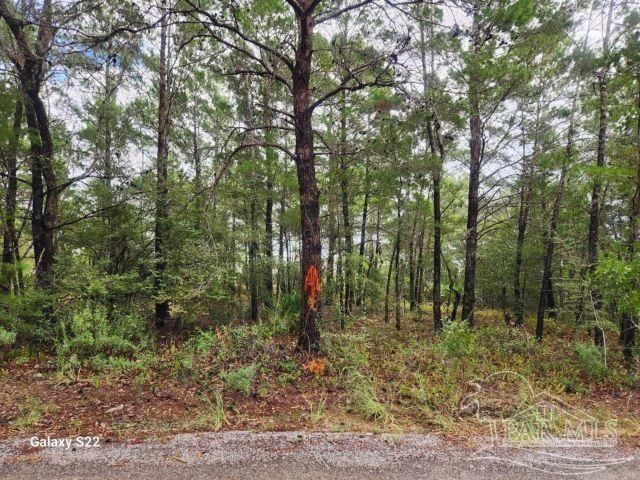 $59,500 | 0 Jewel Road | Navarre