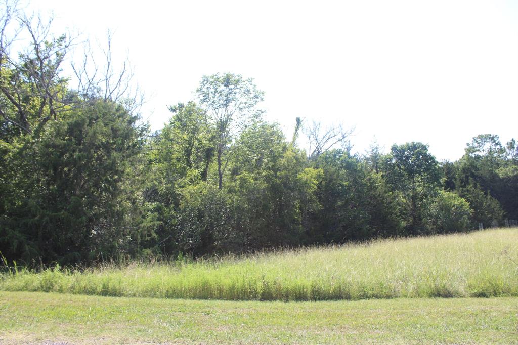 a view of a green yard