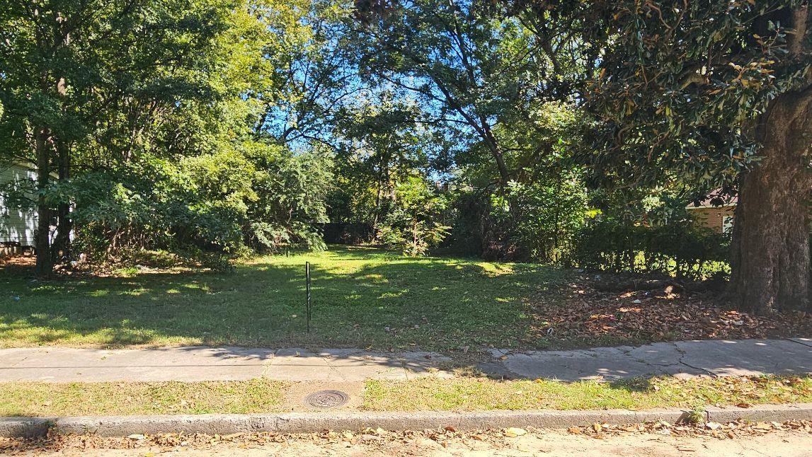 a view of a yard with a tree