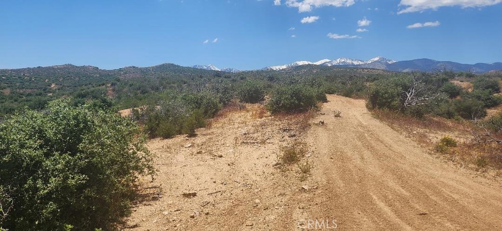 a view of a dry yard with mountains in the background