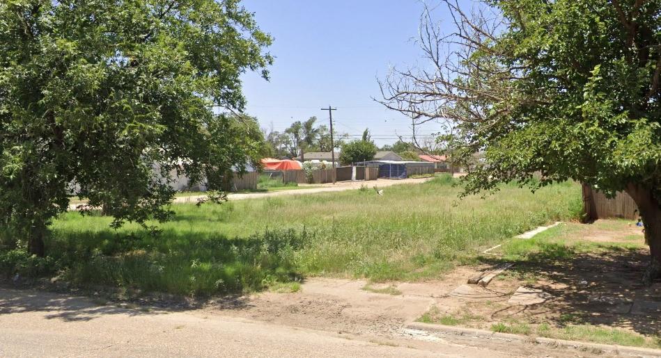 a view of a yard with plants and large trees