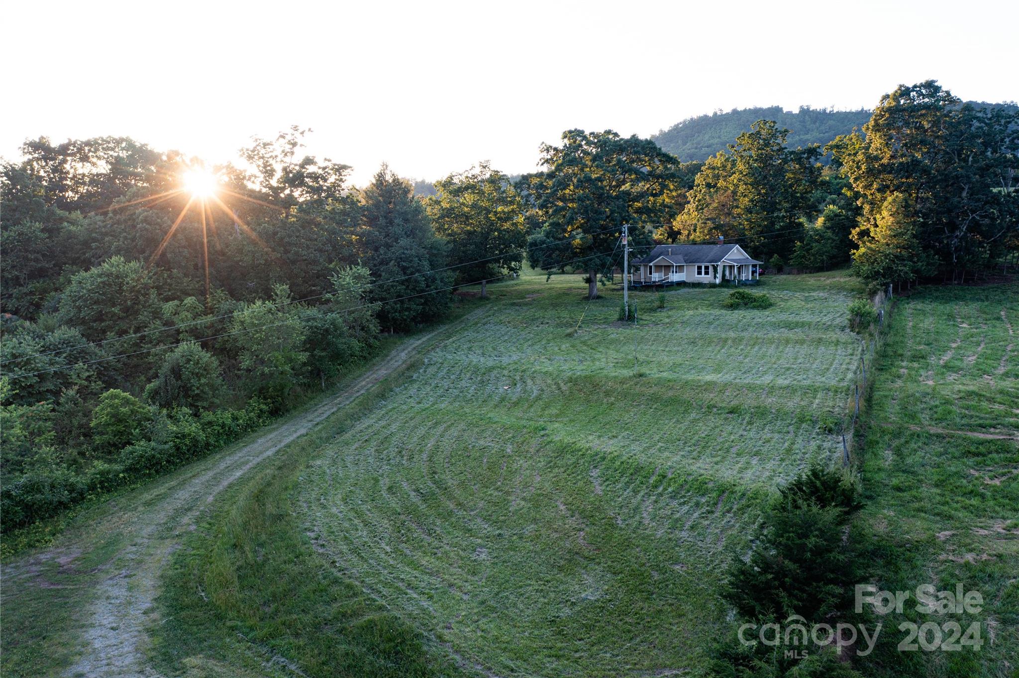 a view of a tiny house with a yard