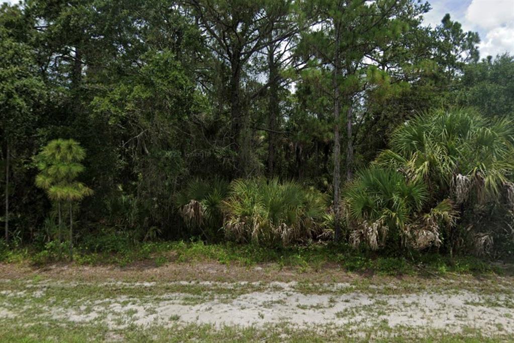 a view of a trees