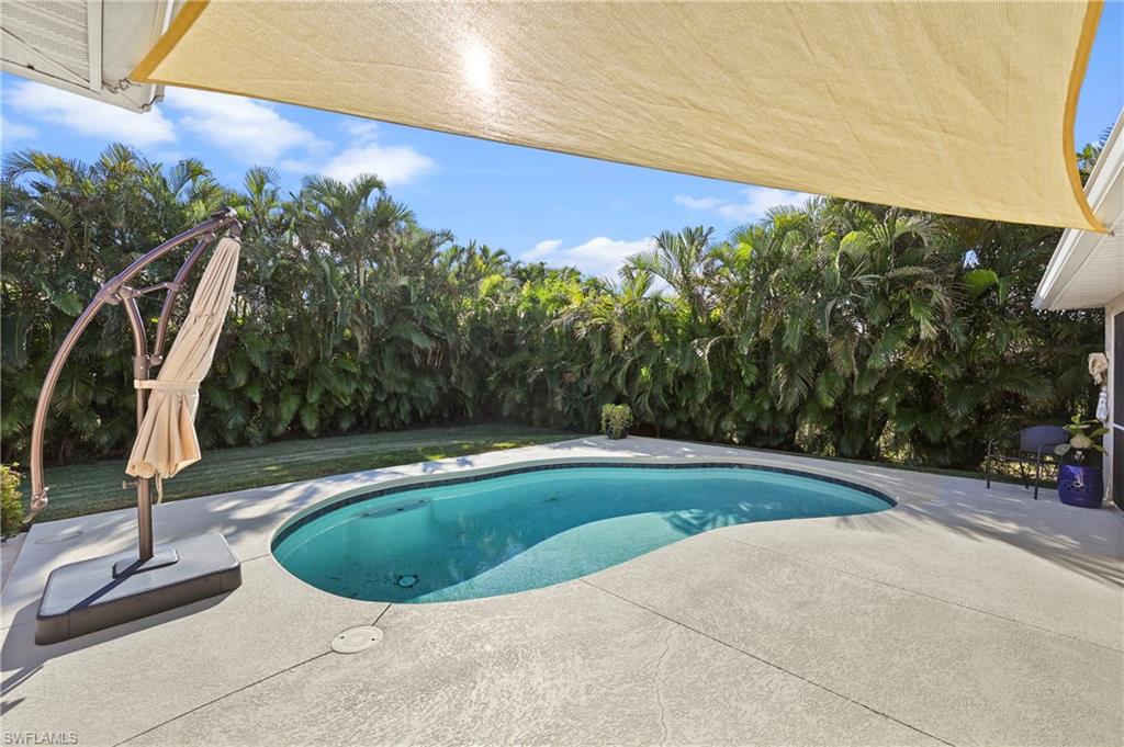 a view of a swimming pool with a yard and plants