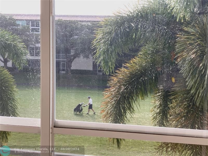 a view of swimming pool from a window