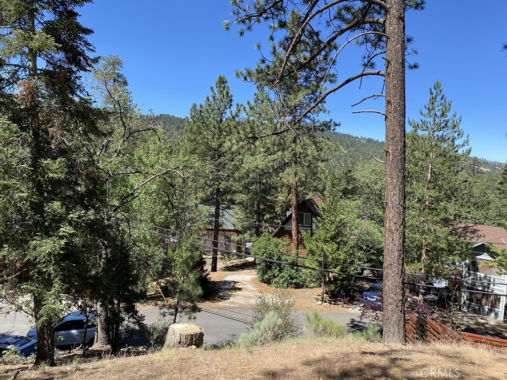 a view of a park with large trees