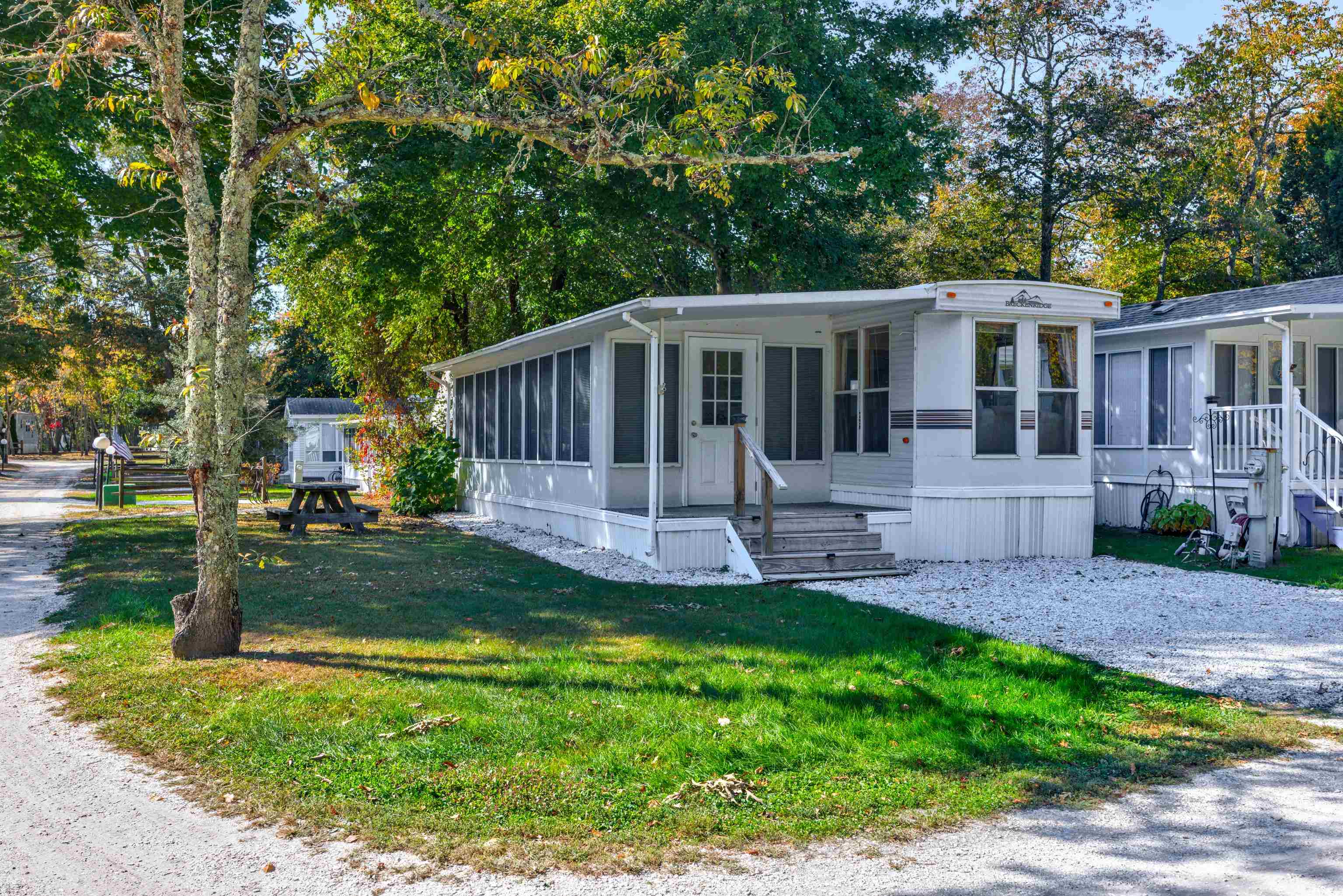 a view of a house with backyard and a tree