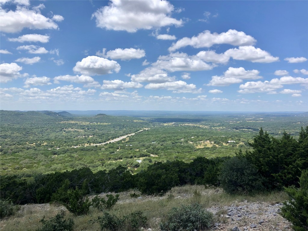 a view of city and green space