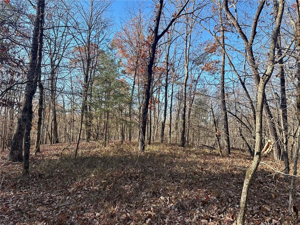 a view of empty space with trees