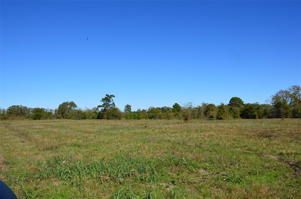 a view of grassy field with trees