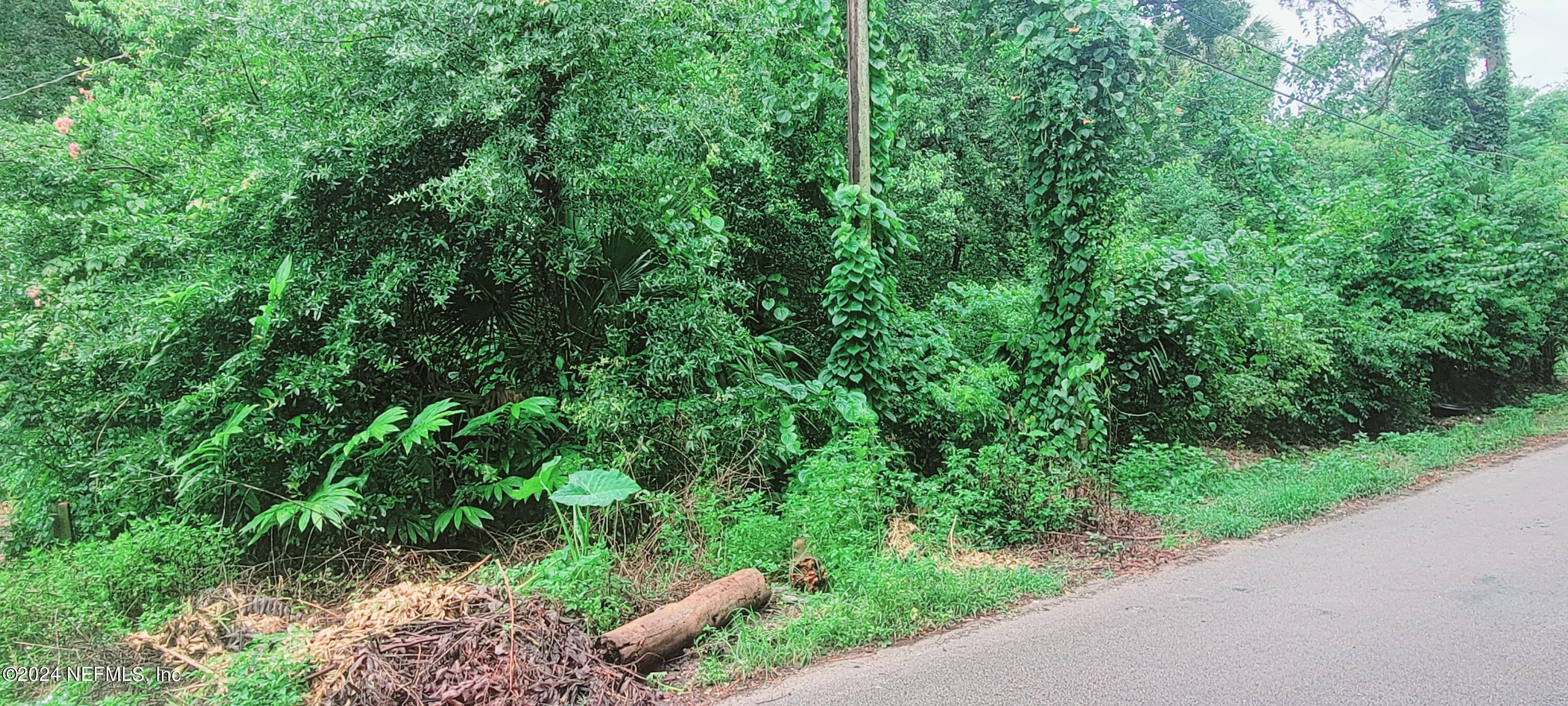 a view of a garden with plants