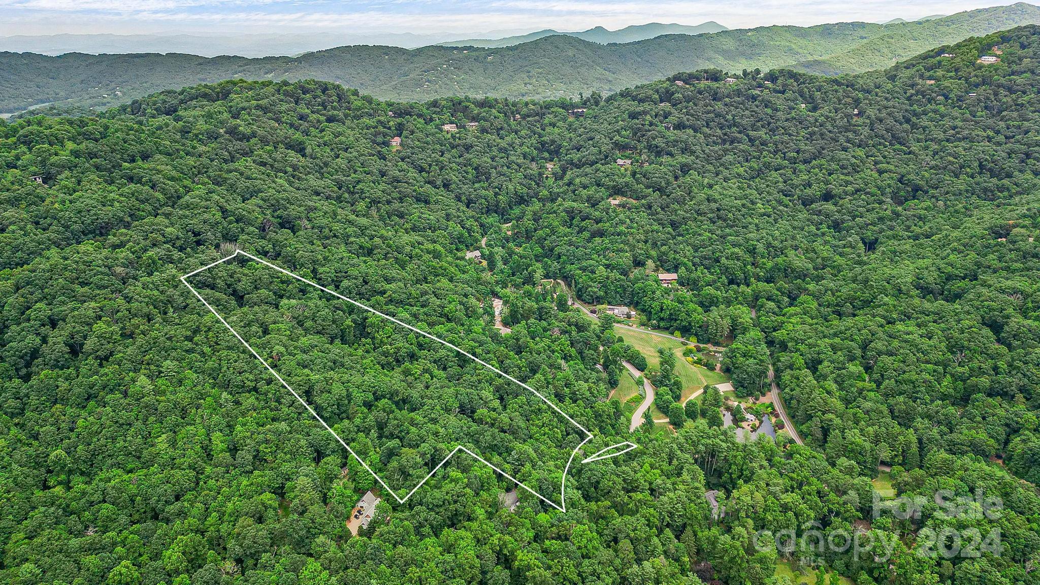 a view of a lush green forest with a mountain