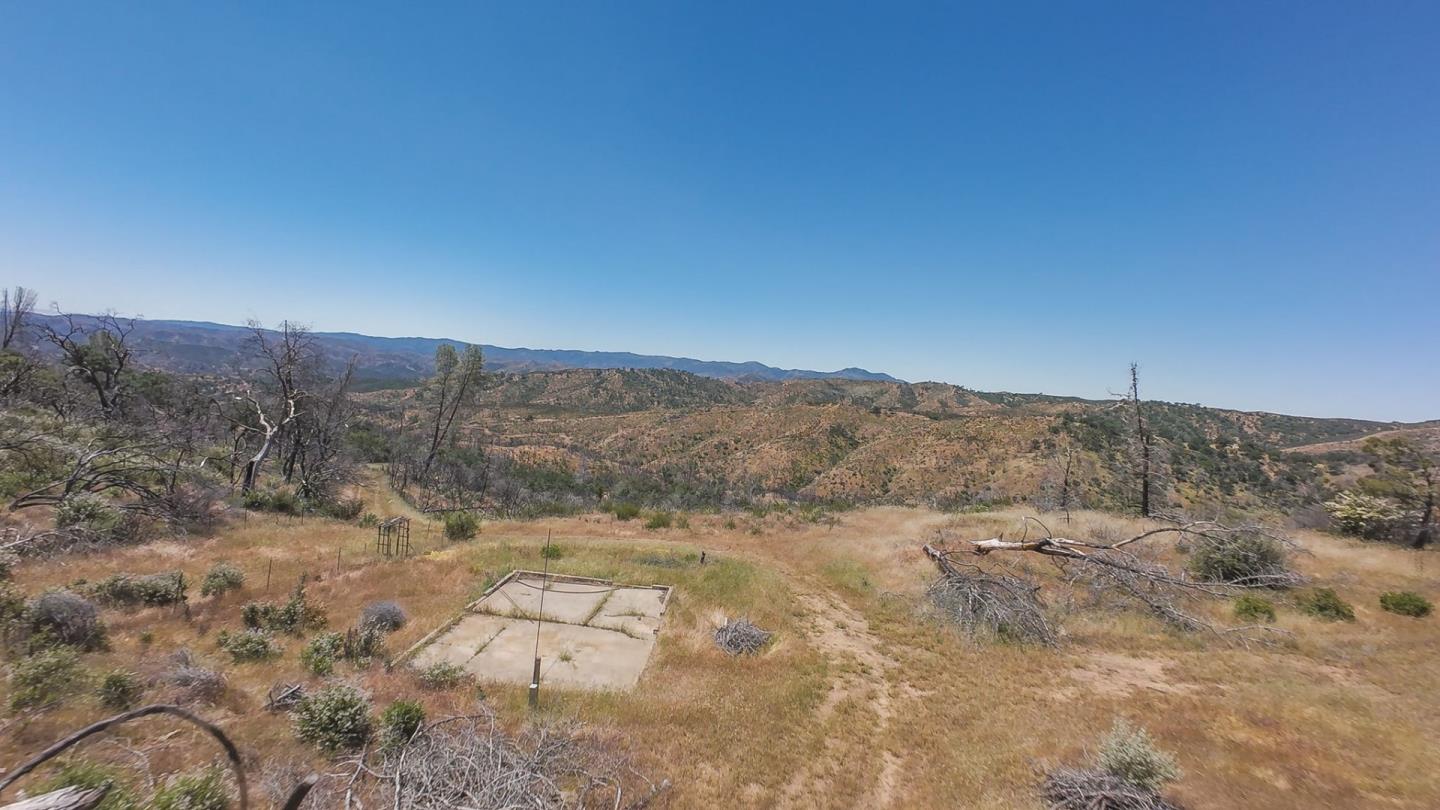 a view of a dry yard with trees in the background