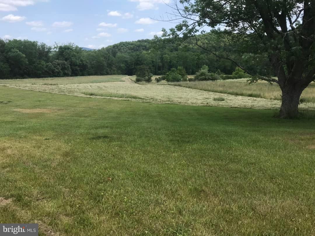 a view of an outdoor space and a yard