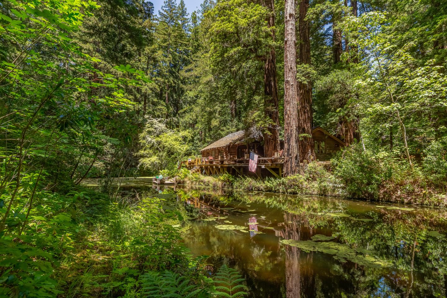 a view of a forest