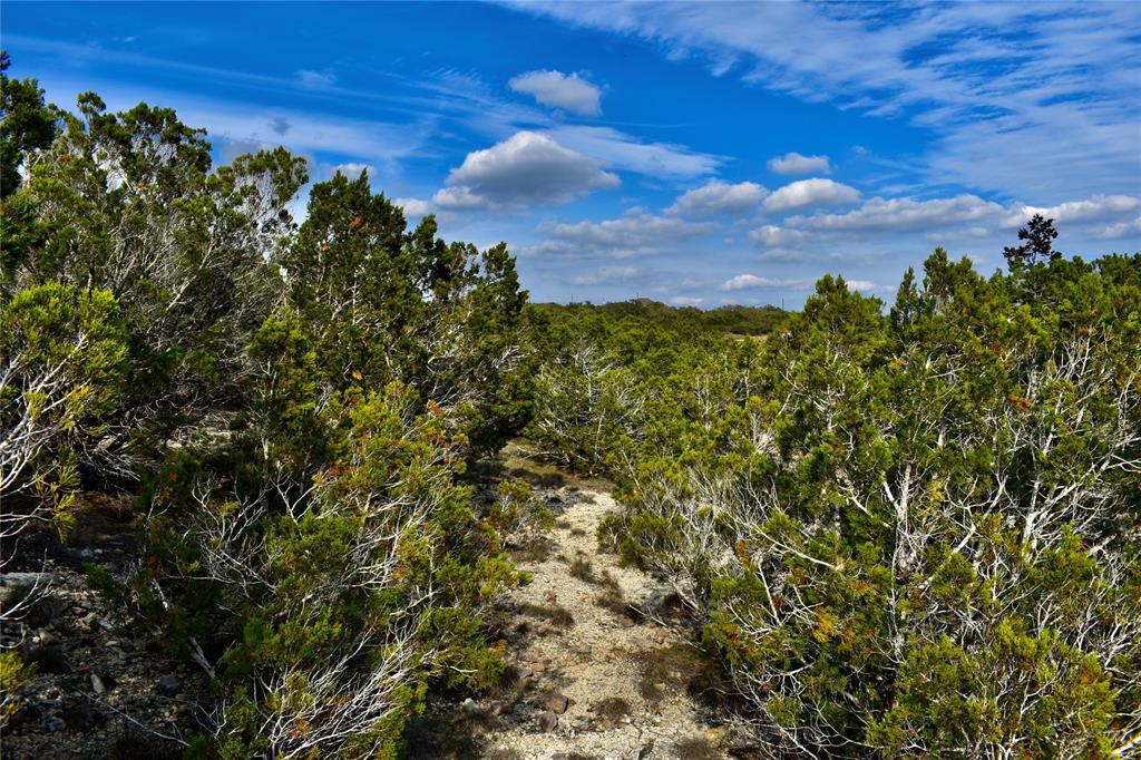 This beautiful 3-Acre property has natural pathways that lead you on peaceful walks with 360 degree hill country views.