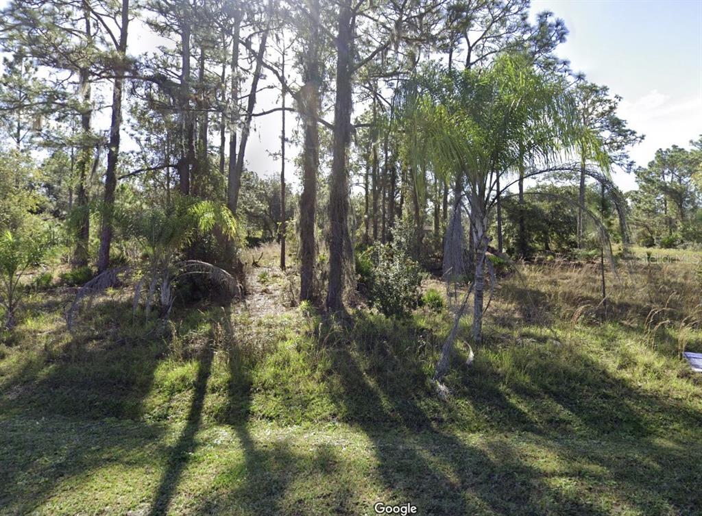 a backyard of a house with lots of trees