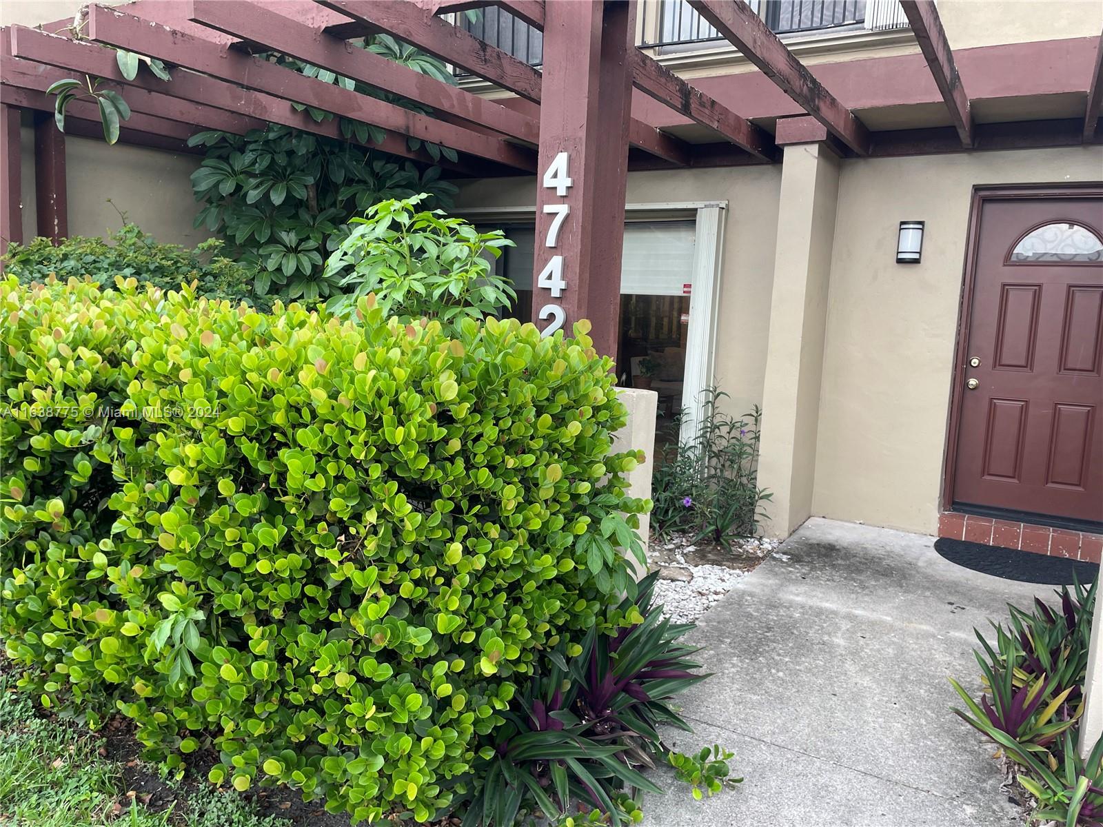 a view of a backyard with potted plants