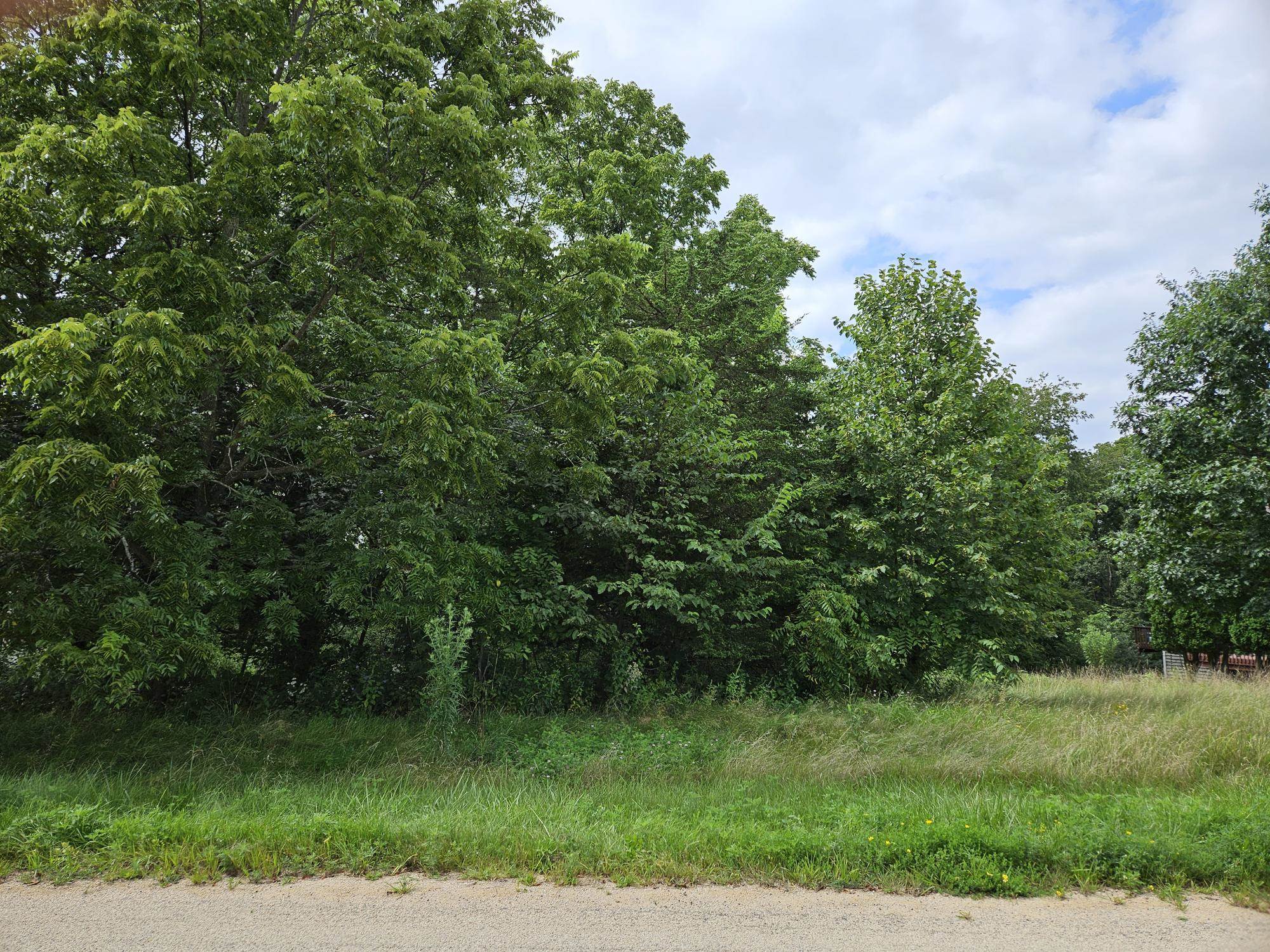 a view of a lush green space