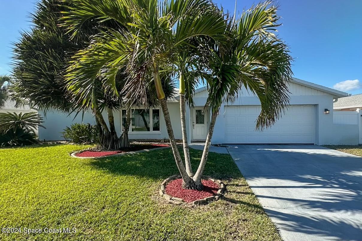 a view of a backyard with plants