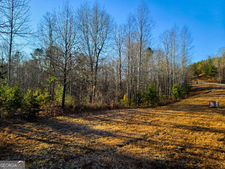 a view of a yard with trees