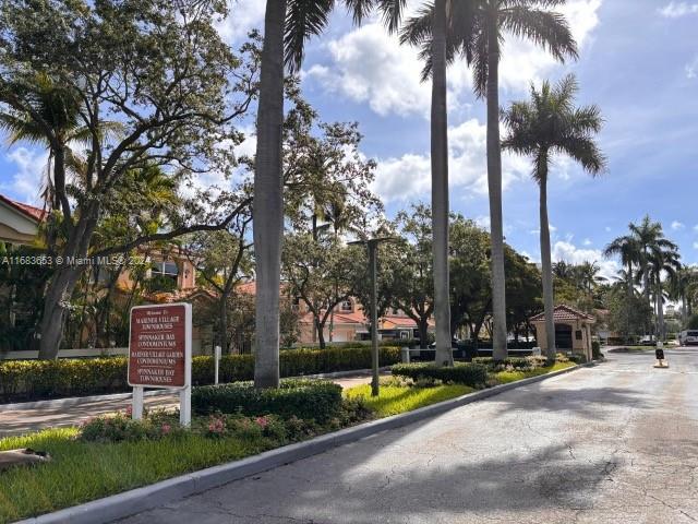 a view of a park with palm trees