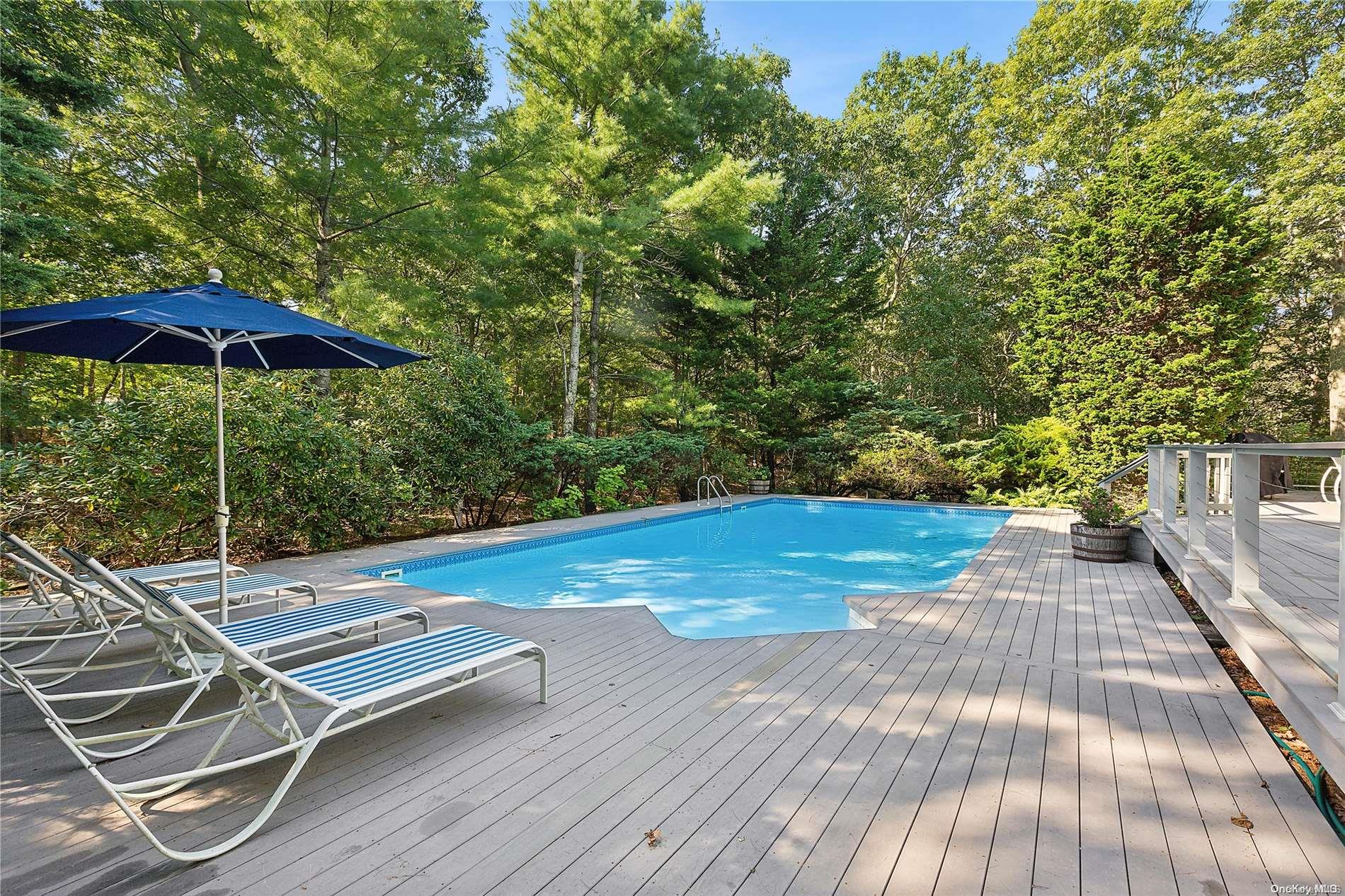 a view of swimming pool with lounge chair