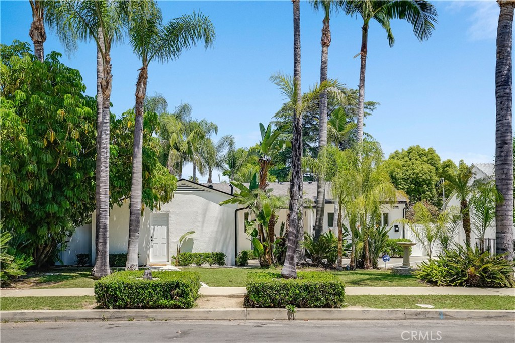 a front view of a house with a garden and palm trees