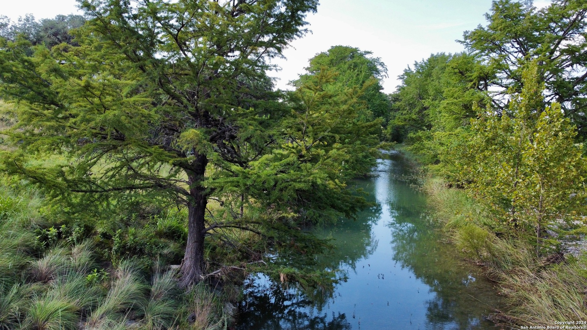 a view of a lake in a forest