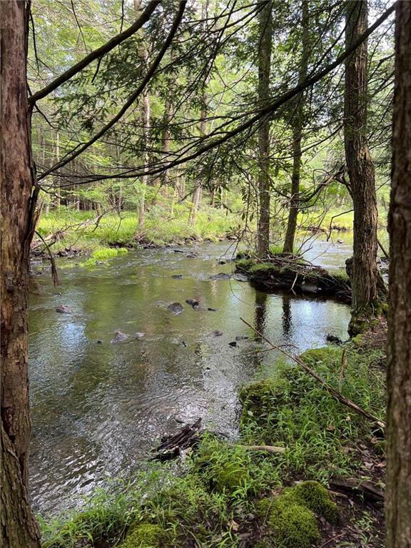 a view of a lake with a trees