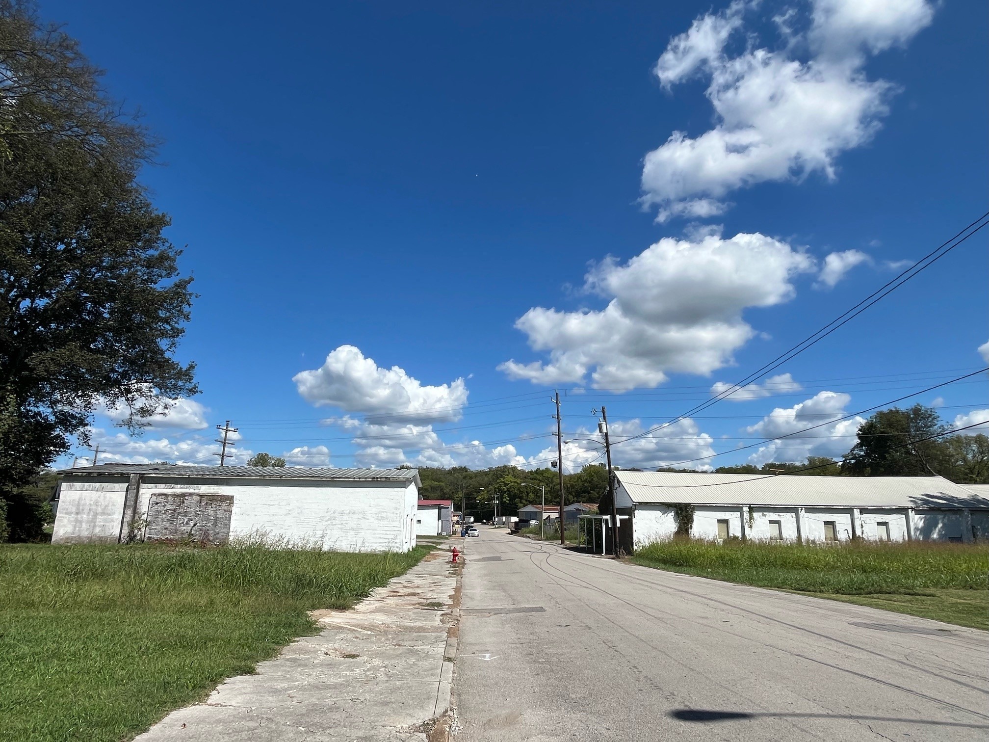 a view of a street with a yard