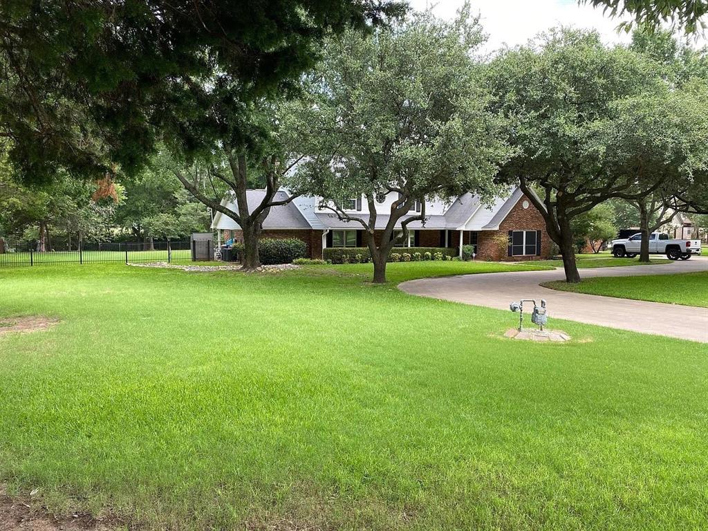 a view of a park with large trees