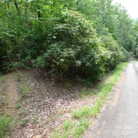 a view of a pathway both side of yard