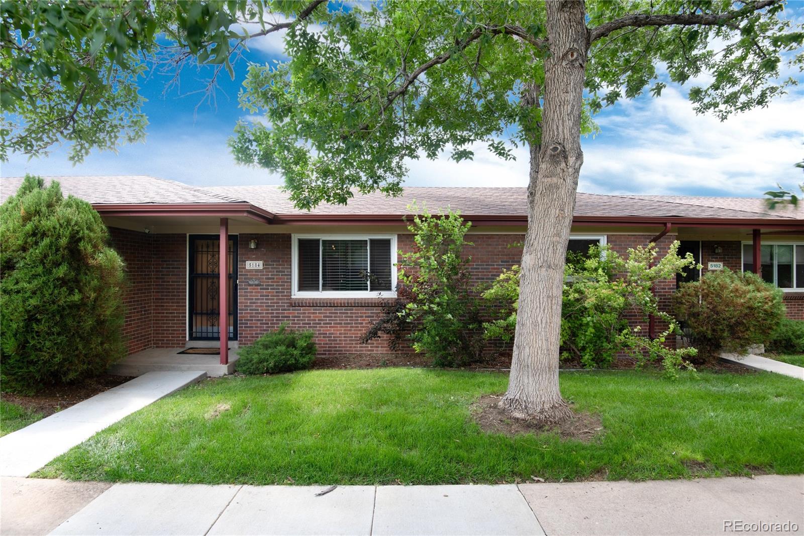 a view of a house with a yard plants and a large tree