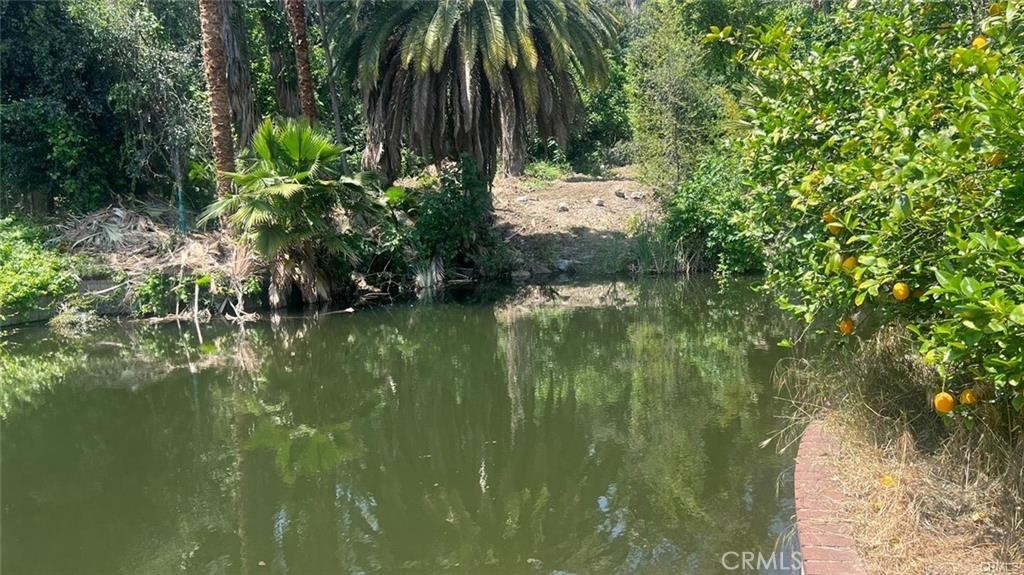 a view of a lake from a yard