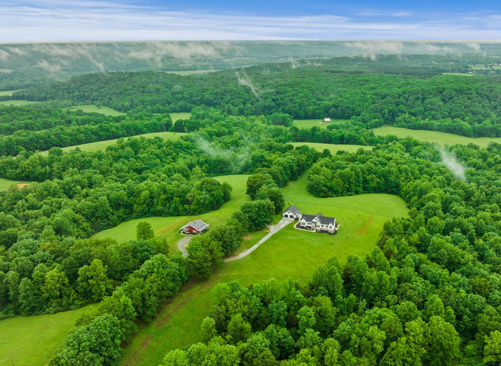 a view of a lush green space with lots of green space