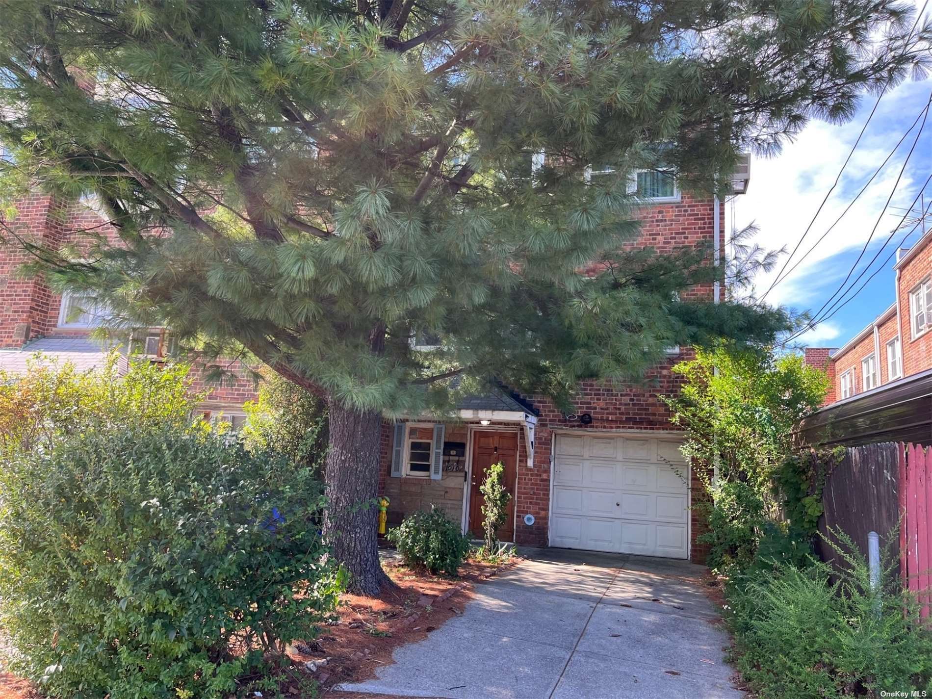 a couple of flower plants in front of house