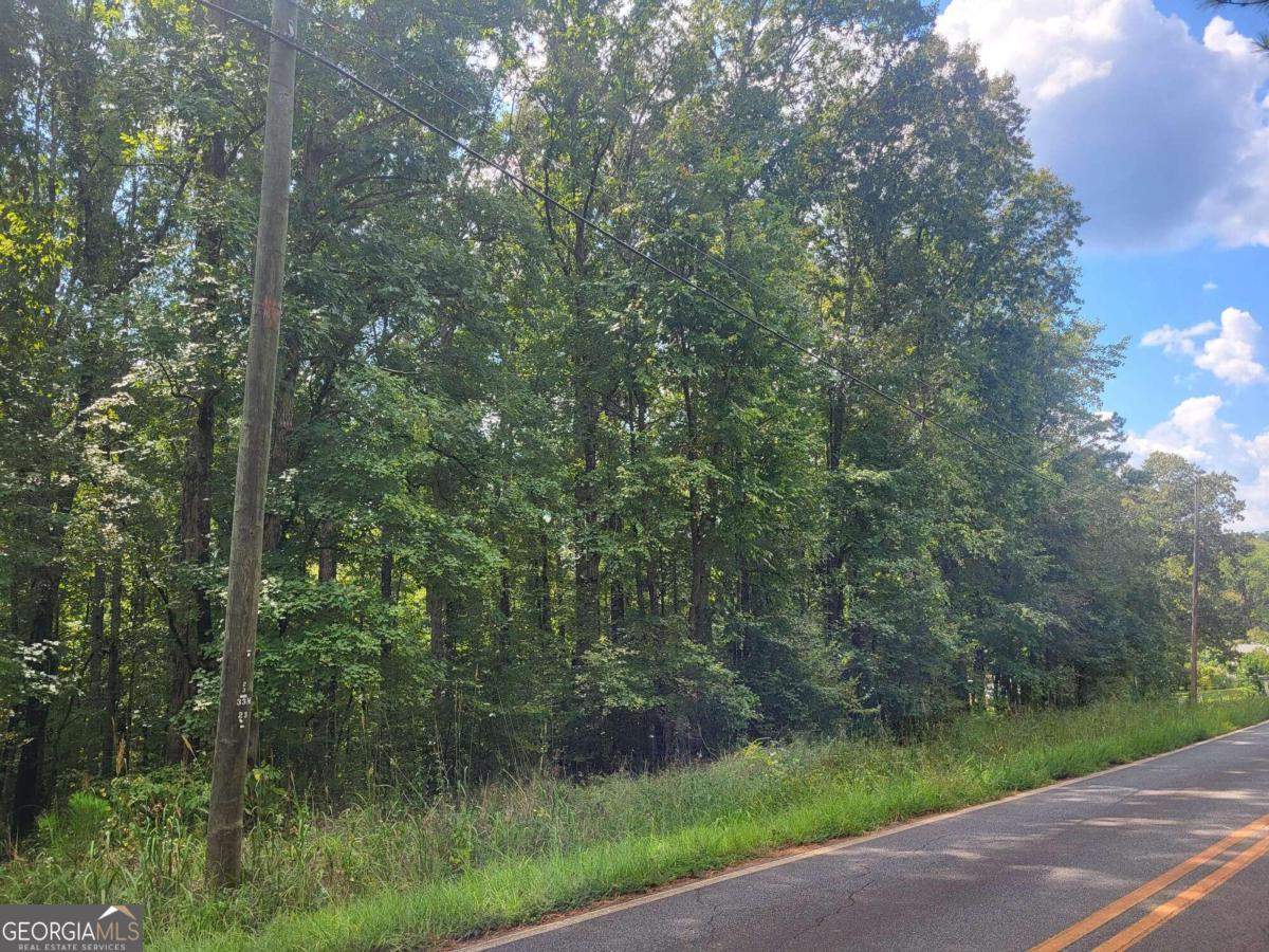 a view of a forest with a forest