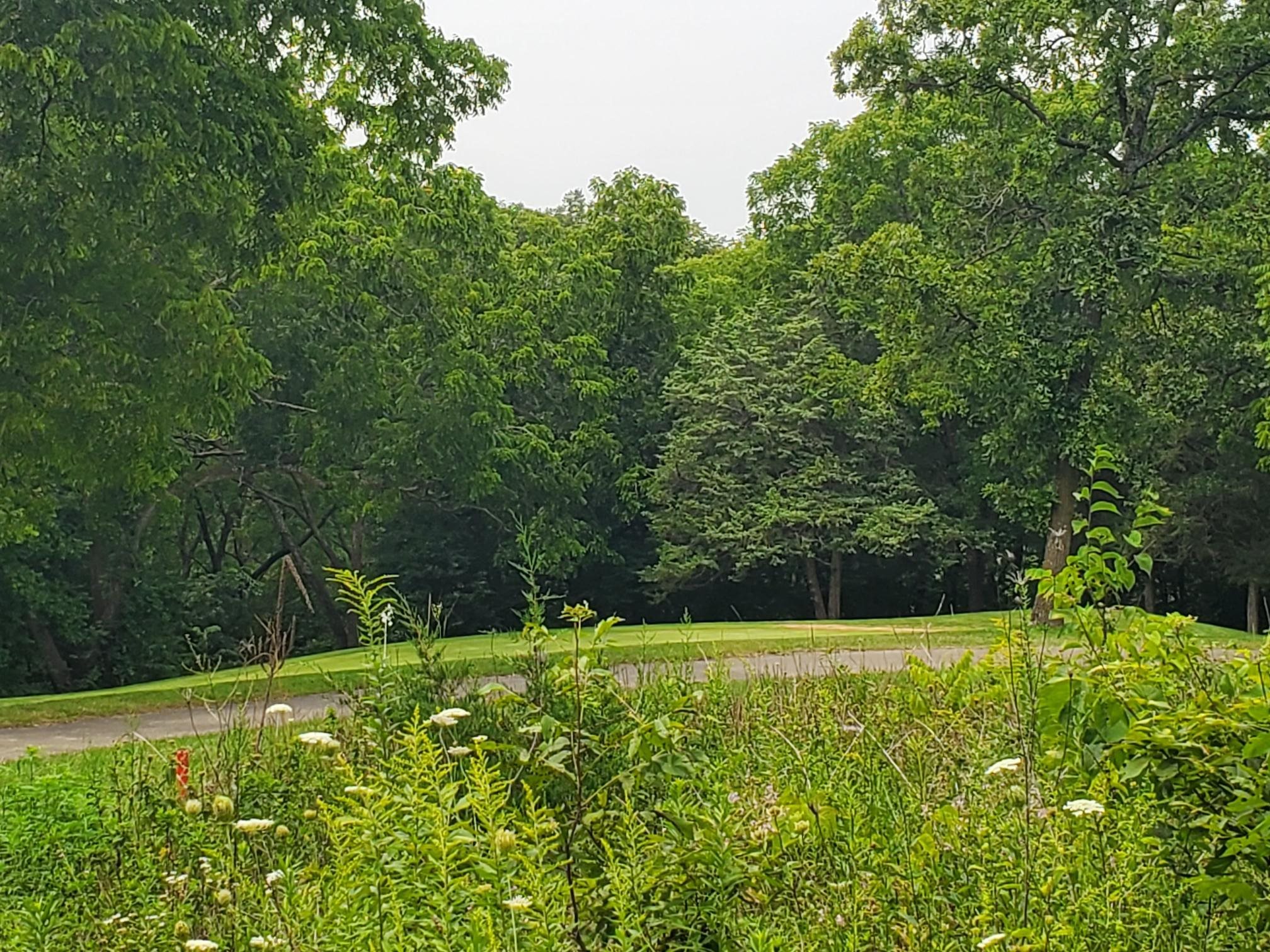 a view of an outdoor space and a yard