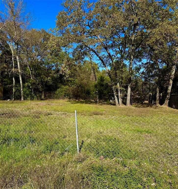 a view of a field with trees