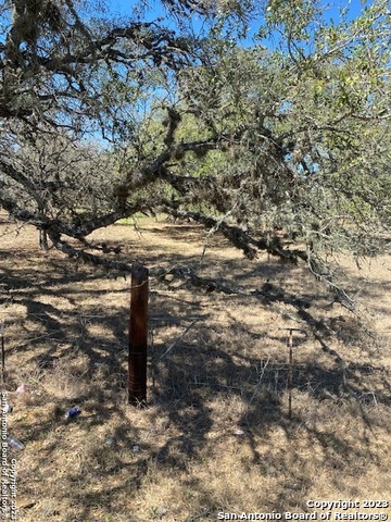 a view of a tree with an outdoor space