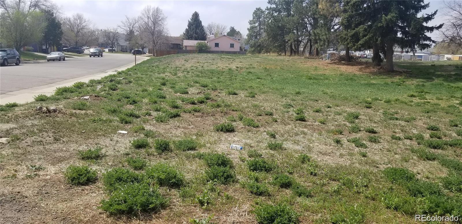 a view of a field with trees