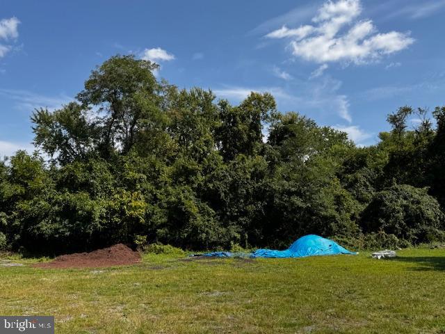 a view of yard with outdoor space