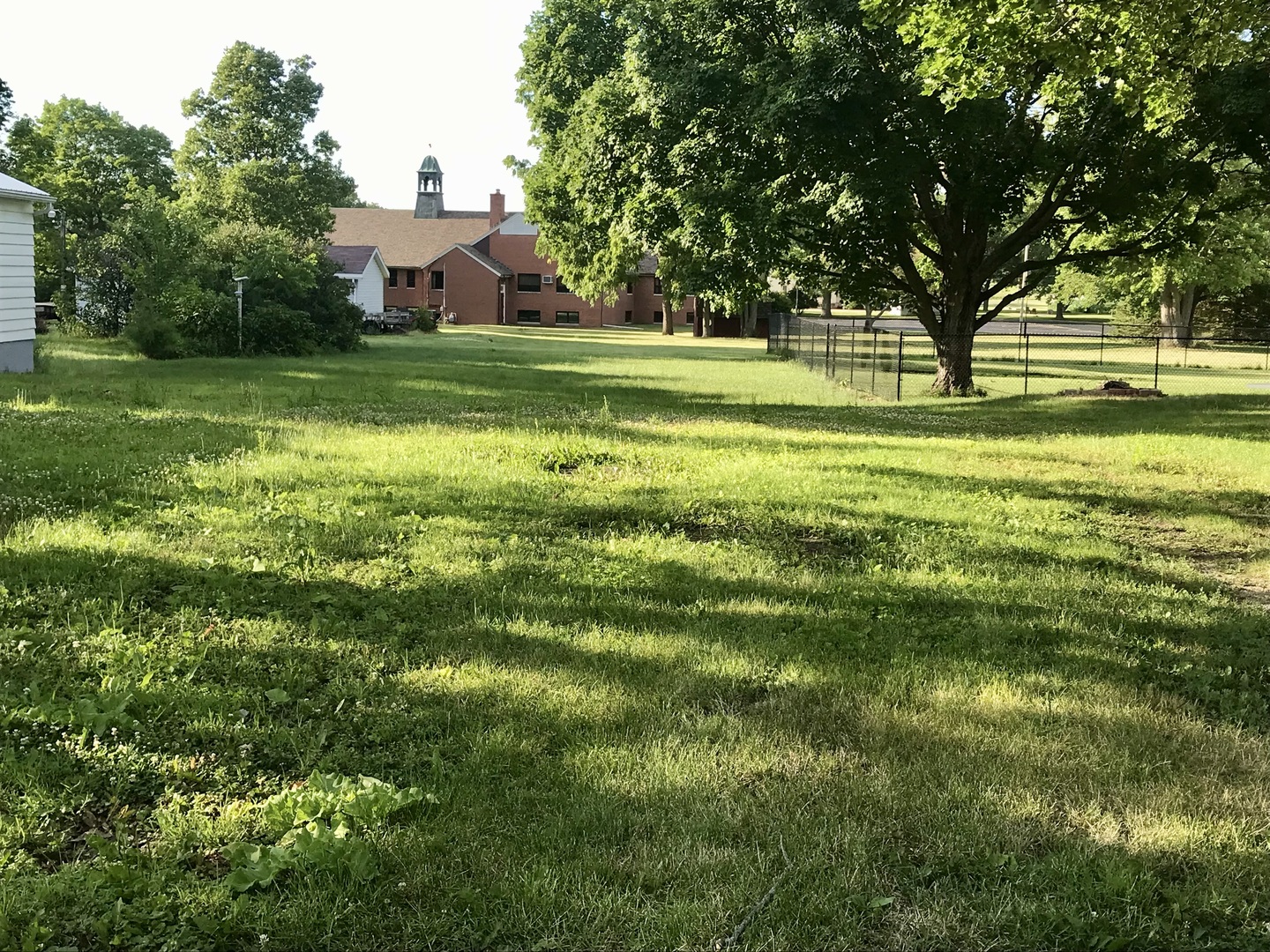 a view of a big yard with a house and large trees